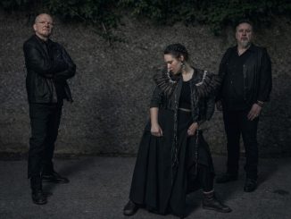 Auf dem dunkel gehaltenen Bild sieht man die drei Musiker der Band Schwarzes Edelweiss. Die Sängerin sowie die anderen beiden Musiker sind ganz in Schwarz gekleidet