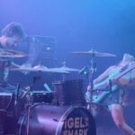 igel_versus_shark_009_ms